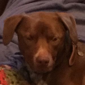 Meet your Posher, Gianna